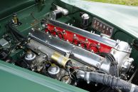 Jaguar XK 140 SE DHC, 1955