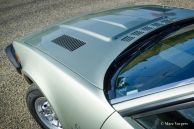 Triumph TR 8, 1980