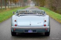 Austin Healey 100/4 BN1, 1955