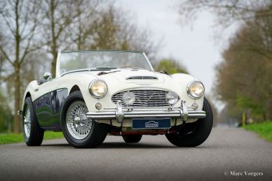 Austin Healey 100/6 BN4, 1957