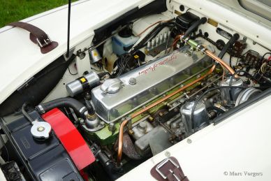 Austin Healey 100/6 BN4, 1957