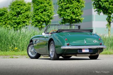 Austin Healey 3000 Mk III, 1965