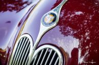 Bristol 400, 1949