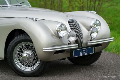 Jaguar XK 120 OTS, 1950