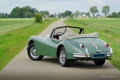 Jaguar XK 140 SE DHC, 1955