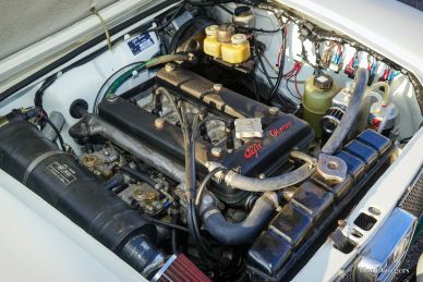 Alfa Romeo Giulia Rally Car, 1972