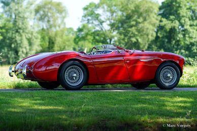 Austin Healey 100/4 'Le Mans', 1954