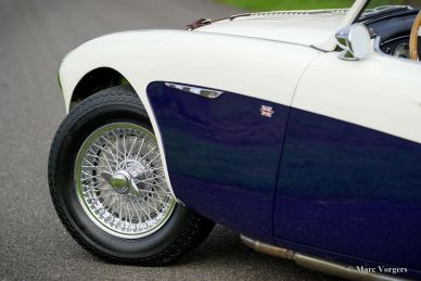 Austin Healey 100/6 BN4, 1957
