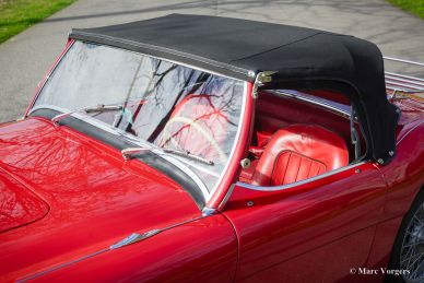 Austin Healey 100/4 BN2, 1956