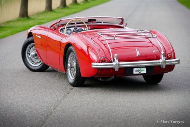 Austin Healey 100/4 BN2, 1956