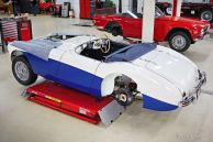 Austin Healey 100/M BN1, 1954 Mille Miglia preparation