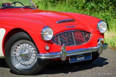 Austin Healey 100/6, 1959