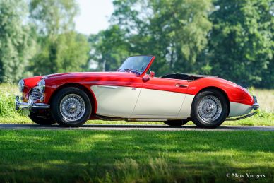 Austin Healey 100/6, 1959