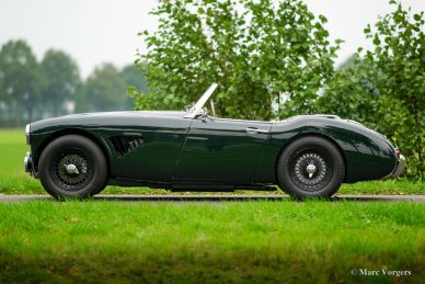 Austin Healey 100/6, 1959