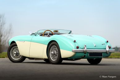 Austin Healey 100/4 BN-1, 1954