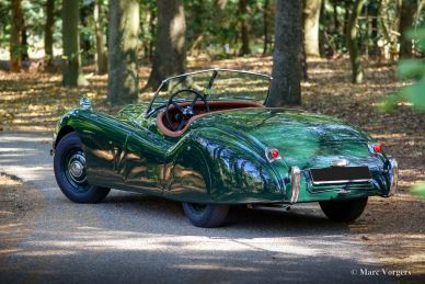 Jaguar XK 120 OTS, 1954