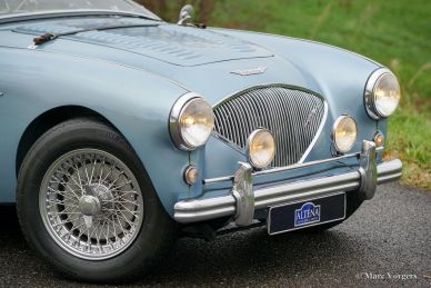 Austin Healey 100/4 BN1, 1955