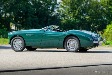 Austin Healey 100/4 BN1, 1955