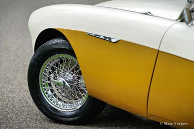 Austin Healey 100/4 BN1, 1955