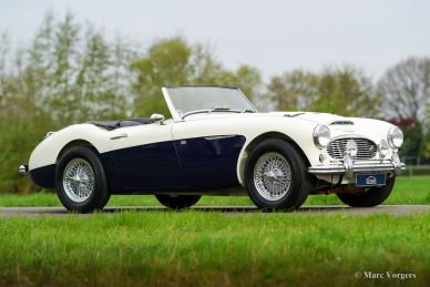 Austin Healey 100/6 BN4, 1957
