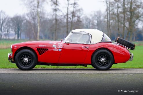 Austin Healey 100/6 Rally Car, 1958