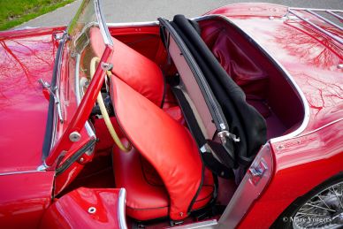 Austin Healey 100/4 BN2, 1956