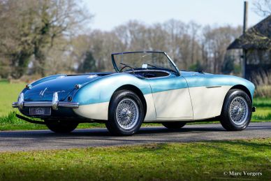 Austin Healey 100/4 BN2 ‘Le Mans’, 1956