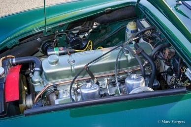 Austin Healey 3000 Mk 3 ph 1, 1965