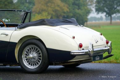 Austin Healey 3000 Mk III, 1965