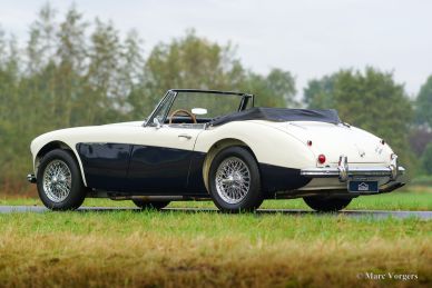 Austin Healey 3000 Mk III, 1965