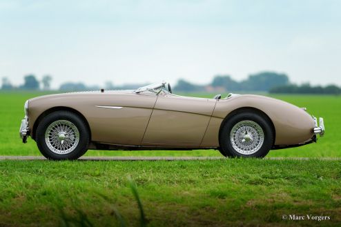 Austin Healey 100/4 BN-2, 1956