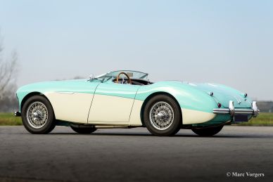 Austin Healey 100/4 BN-1, 1954