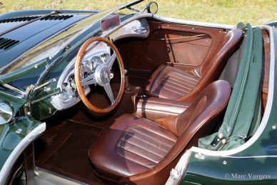 Austin Healey 100/4 BN-1, 1954