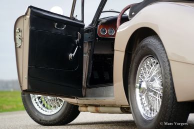 Austin Healey 3000 Mk 3, 1965