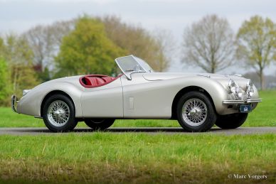 Jaguar XK 120 OTS, 1950