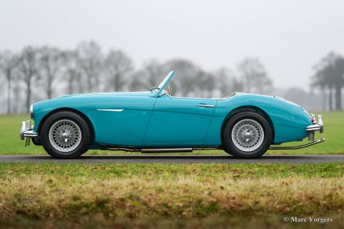 Austin Healey 100/6 ‘two-seater’, 1958