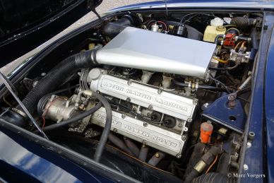 Aston Martin V8, 1980