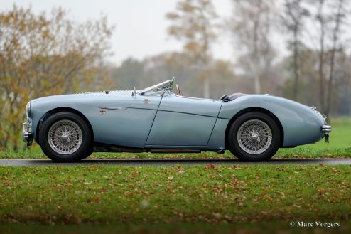 Austin Healey 100/4 BN1, 1955