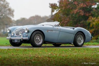 Austin Healey 100/4 BN1, 1955