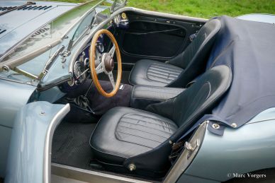 Austin Healey 100/4 BN1, 1955