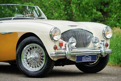 Austin Healey 100/4 BN1, 1955