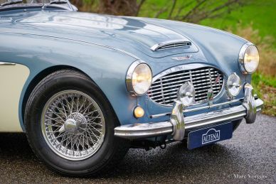 Austin Healey 100/6 BN4, 1957