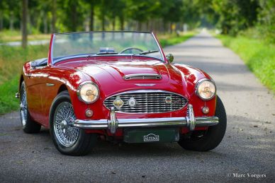 Austin Healey 100/6, 1959