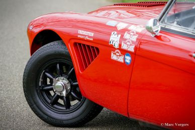 Austin Healey 100/6 Rally Car, 1958