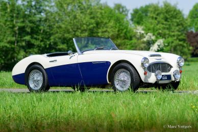 Austin Healey 100/6 ‘two-seater’, 1958