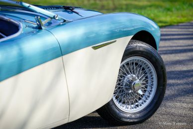 Austin Healey 100/4 BN2 ‘Le Mans’, 1956