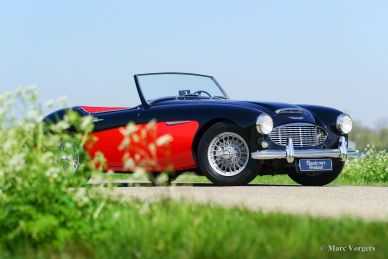 Austin Healey 3000 Mk I, 1959