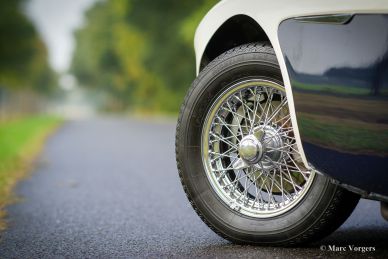 Austin Healey 3000 Mk III, 1965