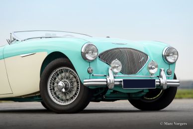 Austin Healey 100/4 BN-1, 1954
