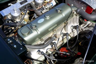 Austin Healey 100/4 BN-1, 1954